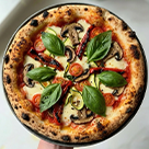 Vegetarian